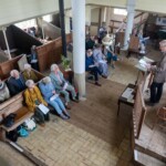 Paul McLintic Paul McLintic