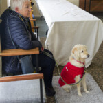 An attentive listener to David Healey. An attentive listener to David Healey.